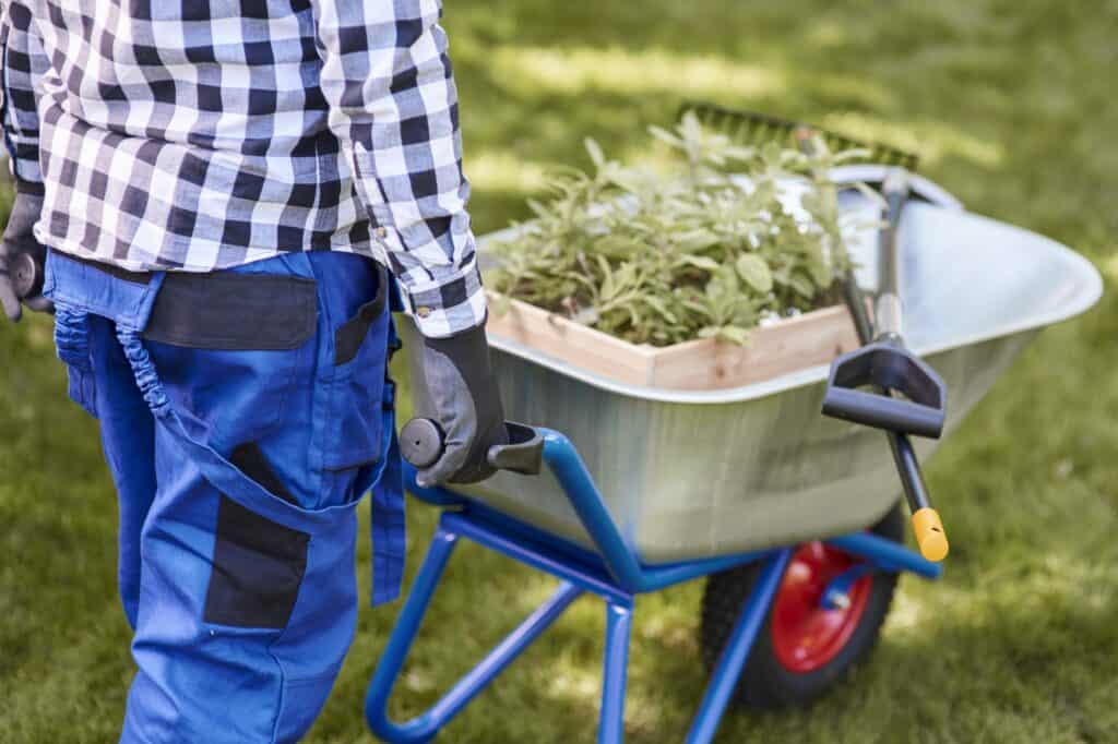 Cropped image of a man pushing a cart with plant, shovel, and rake