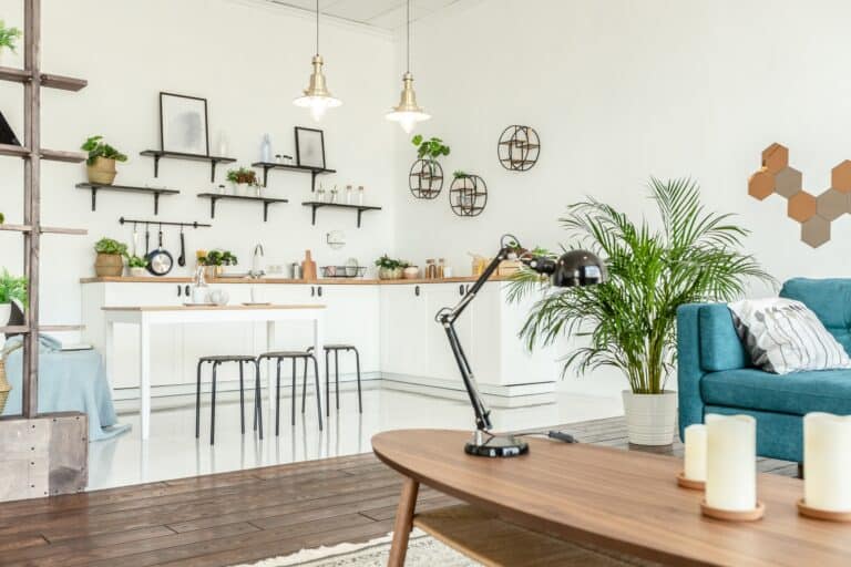 A spacious living and dining areas in a studio flat in the concept of 'What Types of Items Can Be Transported by a Man and Van Service?'